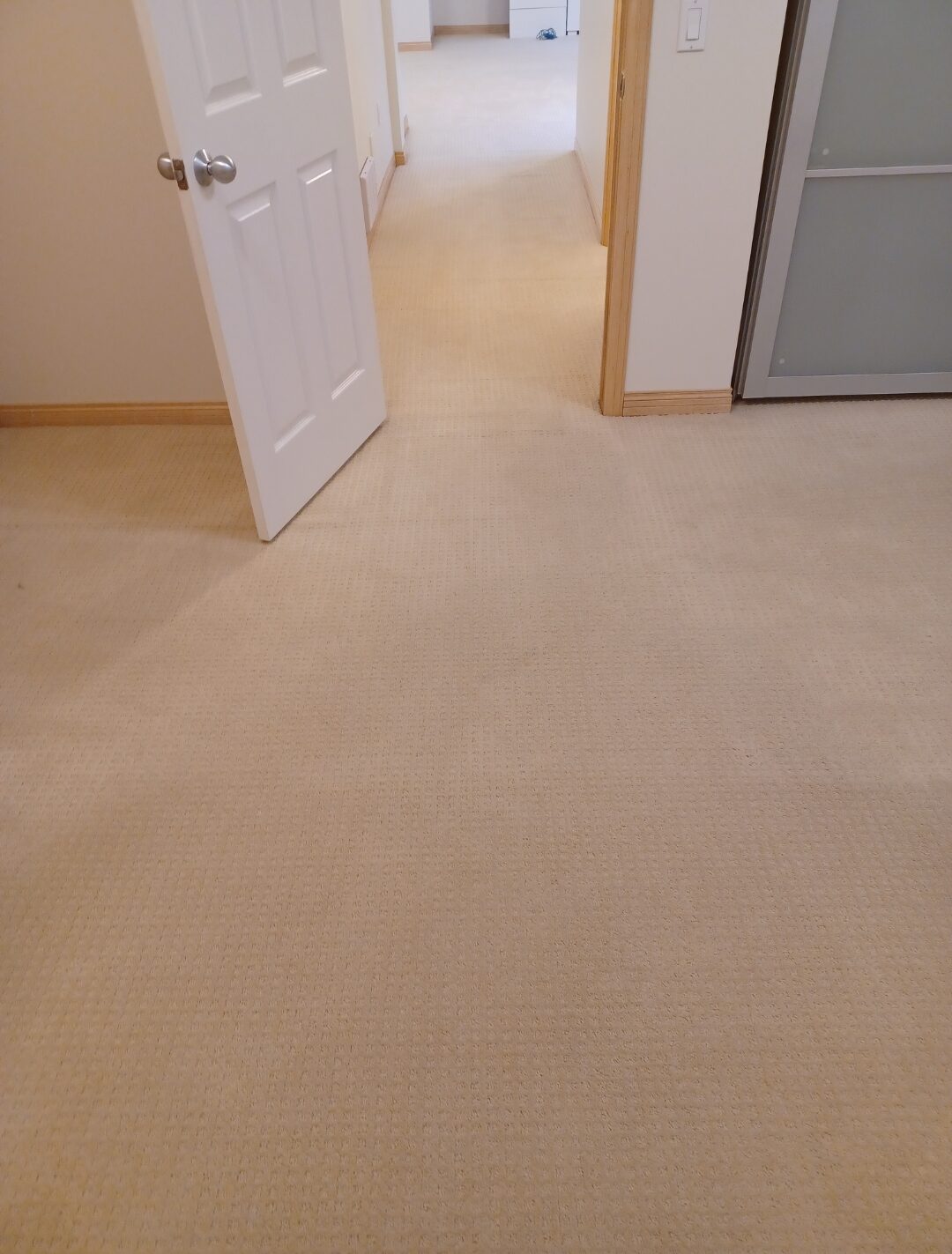 carpet that has been repaired